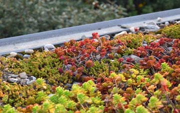 the cost of Copmanthorpe green roof installation