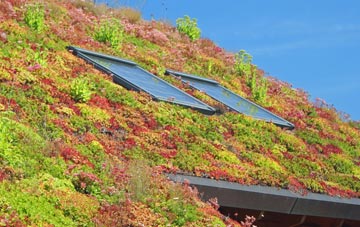 Copmanthorpe living roof systems