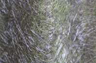 Copmanthorpe fibreglass roof work